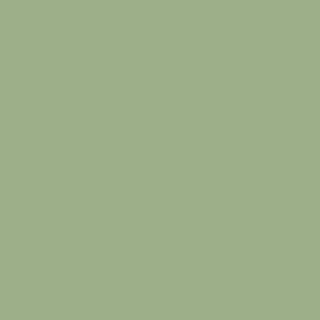 Sage%20Green Finish Preview