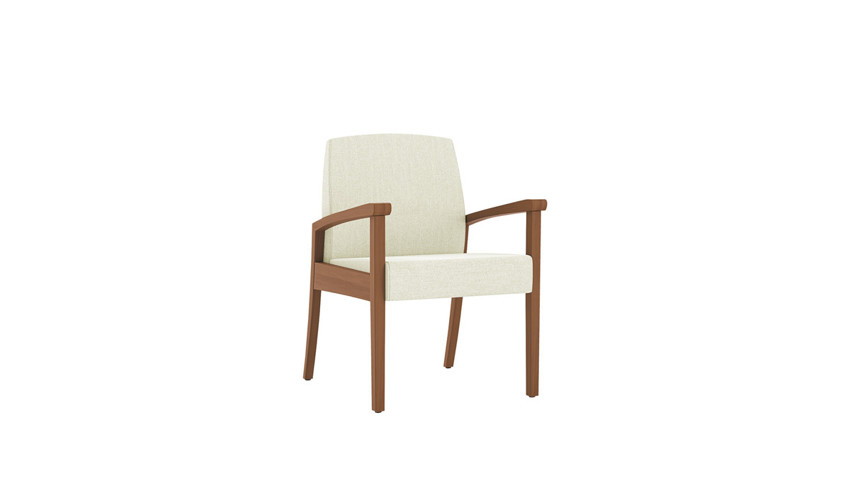 Guest chair, 21 inch seat width Photo